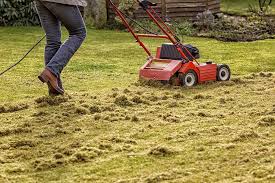 Simply pull the rake across the lawn to rip out the matted thatch. Do Dethatching Blades Work Lawn Mower Attachment Guide Pepper S Home Garden