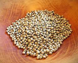 Image result for Cajanus cajan