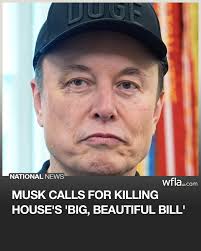 Elon Musk called for killing the House's "big, beautiful bill" and for a  new spending bill to be drafted after he threw a wrench into GOP  leadership's plans to pass President Trump's