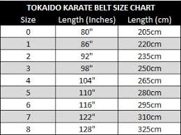 Details About Tokaido Martial Arts Judo Karate Tkd Bjj Belt Yellow