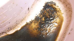 We did not find results for: Coffee Ground Vomitus Causes Symptoms And Treatment