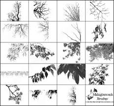 This tutorial covers the basics of creating custom photoshop brushes. 60 Photoshop 7 Tree Branches Brushes Photoshop 7 Photoshop Brushes Photoshop