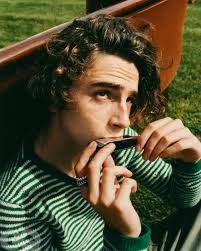 Timothée chalamet daily claims does not credit for any videos posted on this site unless stated otherwise. The Making And Remaking Of Timothee Chalamet Gq