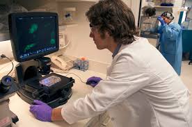 We Can T Stand Idly By Vote Yes On Prop 14 For Stem Cell Research