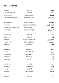 Préparation de la traduction… français. Vocabulaire Francais Arabe Les Arbres Apprendre L Arabe Francais Arabe Vocabulaire Francais