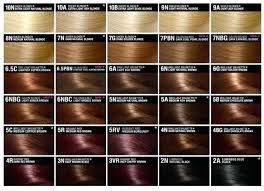 L Oreal Excellence Hicolor Color Chart Bedowntowndaytona Com