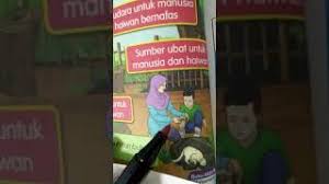 Add to my workbooks (9) download file pdf embed in my website or blog add to google classroom add to microsoft teams share through whatsapp Sains Tahun 2 Kepentingan Tumbuhan Kepada Manusia Haiwan Youtube