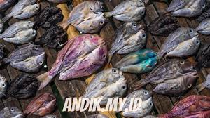 Masukkan air, tambahkan saus tiram, kecap, lada, garam. 4 Cara Agar Ikan Asin Tidak Terlalu Asin Andik My Id
