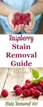 Raspberry Stain Removal Guide