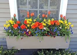The lush greenery sprouting adds to the naturally ideal picture. Extra Large Diy Window Boxes Balcony Flower Box Window Box Flowers Window Flower