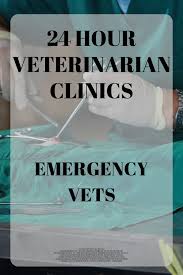 We provide full medical and surgical emergency care, critical care and hospitalization. 24 Hour Animal Hospital Emergency Vet Hospitals Emergency Vet Emergency Vet Clinic Animal Hospital