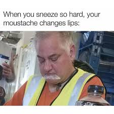 Funny Memes The 150 Funniest Memes Of All Time Funny Memes About Life New Funny Memes Funny Memes