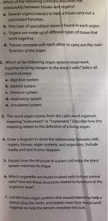 Plant cell tissue and organ. Which Of The Following Correctly Describes The Chegg Com