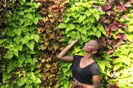 Wall planters can add an element of natural beauty to your decor. Outdoor Livewall Vertical Plant Wall System