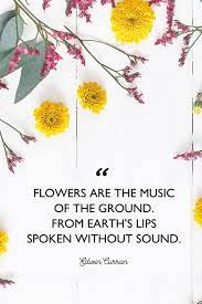 The fairest thing in nature, a flower, still has its. 48 Inspirational Flower Quotes Cute Flower Sayings About Life And Love