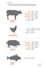 Meat Temperature Salt Is Your Friend Meat Cooking Temperatures Food Temperatures Meat Temperature Chart