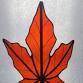 Maple Leaf Glass Class Light event image
