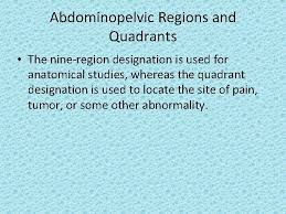 Check spelling or type a new query. Human Anatomy Anatomical Terms Definitions Anatomy Deals With