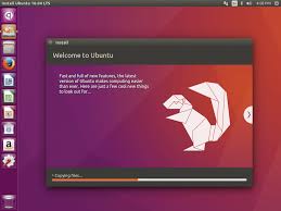 Image result for ubuntu alternate install