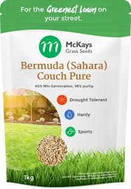 Since you only get one chance to germinate seeds correctly. Buy Bermuda Couch Seed From Australia Leading Grass Seed Experts