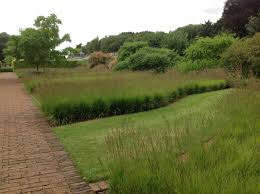 Piet Oudolf C Nicola Berry Time And Space Garden And Planting Design Landscape Design Garden Design Plant Design