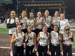 Last Call: 14u Athletics Mercado Premier is going to have a tryout at  Saginaw High School this Saturday, December 7th at 9:30 am. We are looking  for 1 A level player for