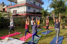 We did not find results for: Salamba Yoga Become A Yoga Teacher