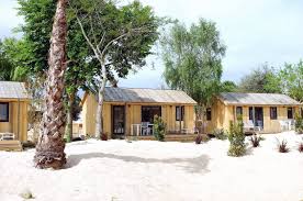 Location Bungalow Ile De Re Cabane En Bois Haut De Gamme Bungalow Cabane Bois Cabane
