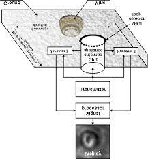 Magnetic fields become weaker per the square of the distance between the source and the target (in this case metal). Block Diagram Of Mirascan Radar With Metal Detector Download Scientific Diagram