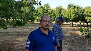 Kiraz genelde çok düşük ve fazla yüksek sıcakları sevmez. Ulukisla Kuruyan Kiraz Bahcesini Toparlama Agaclara Suyunu Daha Kolay Aldirma Youtube