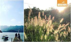 周末遊懶人包 蘆葦草 美食 日落鹿頸谷埔超易行 natural landmarks travel landmarks