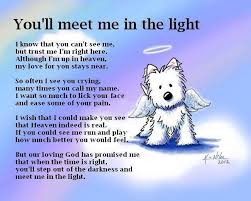 Sniffle Pet Loss Dog Quotes Rainbow Bridge