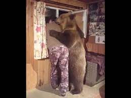 Pin By Rpileggi On M E M E S Emotional Support Meanwhile In Russia The Bear Family
