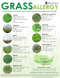 Pin By Allergychoices Inc On Allergies Grass Allergy Allergies Natural Add Remedies