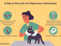 We did not find results for: Veterinary Technician Job Description Salary Skills More