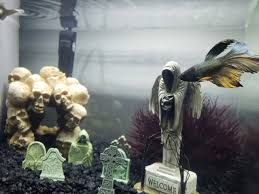 Happy Halloween Fish Tank Themes Scary Fish Fish Tank Decorations