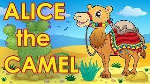 Camel is a song to get kids moving. Alice The Camel Counting Songs For Kids Action Songs For Kids By The Learning Station Youtube