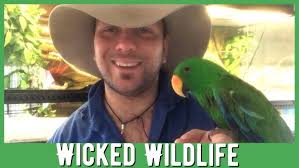 Meet Jasper! (Solomon Island Eclectus Parrot)