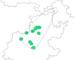 Image result for Holothrix randii