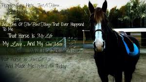 My Baby Boy Horse Love Quote Horses Horses Horse Quotes Cute Love