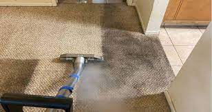 For easy to follow advice and useful tips from industry experts. Professional Carpet Cleaning Costs