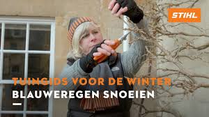 Affutage De La Chaine Tronconneuses Stihl Youtube