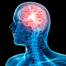 Résultat de recherche d'images pour "patrick brain meme"