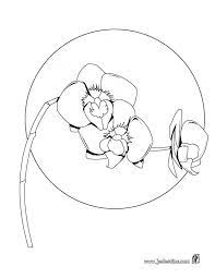 Coloriages Coloriage D Une Orchidee Fr Hellokids En Dessin D Orchidee Flower Coloring Pages Coloring Pages Bird Coloring Pages