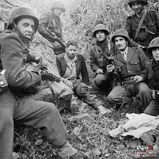 Tipaza: Guerre d'Algérie