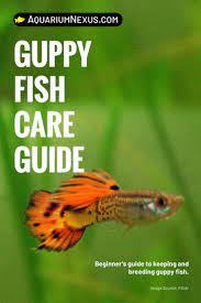 Guppy Fish Care Guide Water Conditions Feeding Breeding Guppy Fish Fish Care Fish