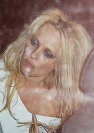 El Imparcial: Noticias: La juerga de Pamela Andersson se va de las manos - pam_desa_3007