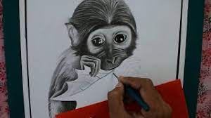 Little Cute Monkey Pencil Drawing Face Realistic Face Shading Of Cute Little Monkey Little Monkey Youtube