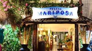 Los 3 hoteles económicos en Playa del Carmen con los mejores reviews:  Buenos, bonitos y baratos | Heraldo de México Quintana Roo