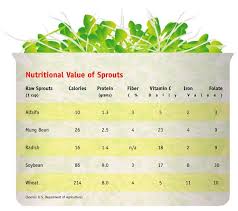 Nutritional Value Of Sprouts Chart In 2019 Sprouts